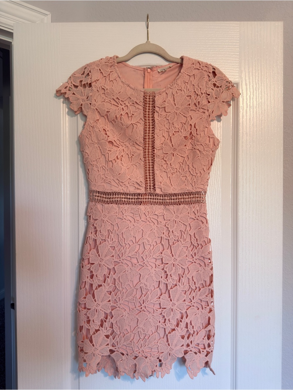 Main Strip Blush Pink Lace Floral Mini Dress